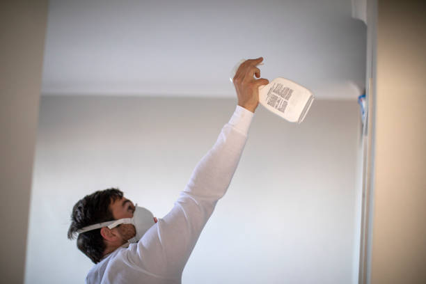 Best Toxic Mold Removal  in Cvallis, OR