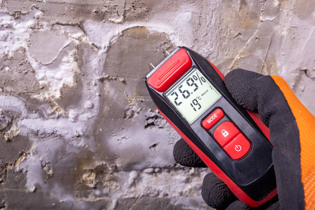 Best Professional Mold Removal  in Cvallis, OR
