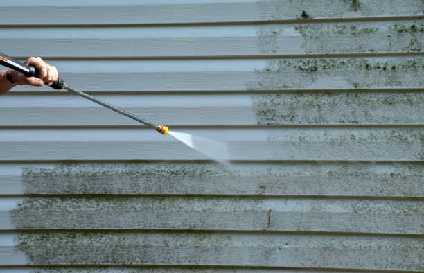 Best Mold Damage Repair  in Cvallis, OR