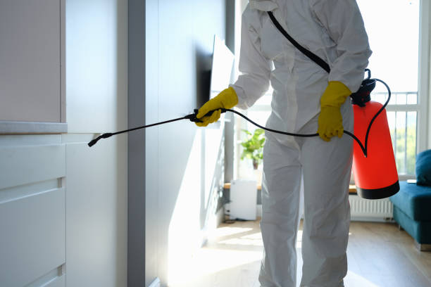 Best Home Mold Removal  in Cvallis, OR