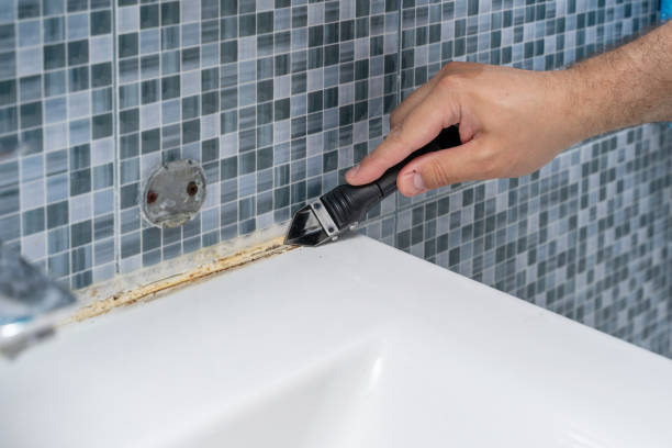 Best Mold Testing  in Cvallis, OR